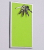 FLUX-Pitchboard, Edelstahl-Schlüsselbrett (in 25 x 15cm) hellgrün